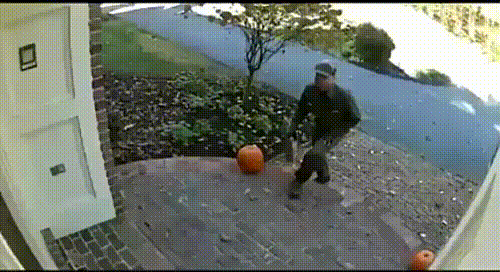 Delivery Included.gif
